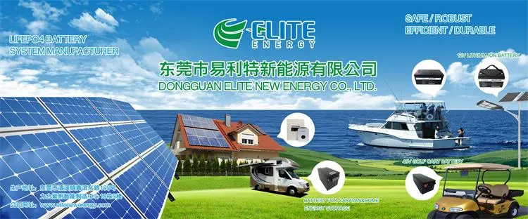 Elite Large Power LiFePO4 Battery 48V 60V 100ah 160ah Lithium Iron Phosphate Battery Low-Speed Vehicle 60 Volts 160 Ah Li-ion Battery for EV/Ess