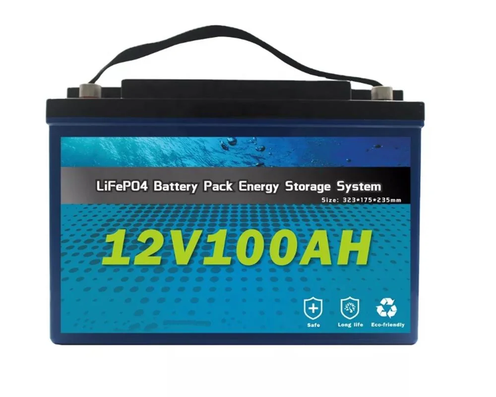 USA Hot Sale 12V 24V 20ah 40ah 60ah 100ah 200ah LiFePO4 Battery BMS with Charger for Home Solar System