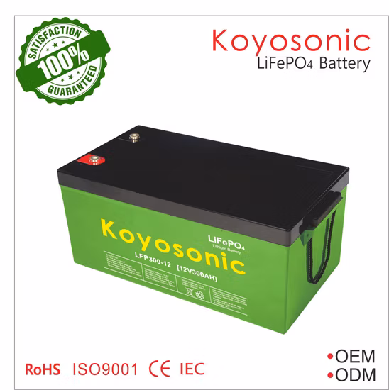 48V 리튬 배터리 랙 50Ah 100Ah 200Ah Tesla 51.2V LiFePO4 배터리 2.5kWh 5kWh 10kWh 15kWh 리튬 이온 배터리 리튬 이온 가정용 축전지 통신 UPS